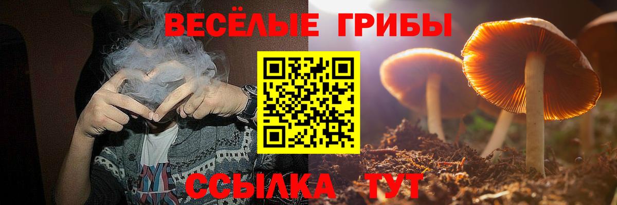 Псилоцибиновые грибы прущие грибы Димитровград
