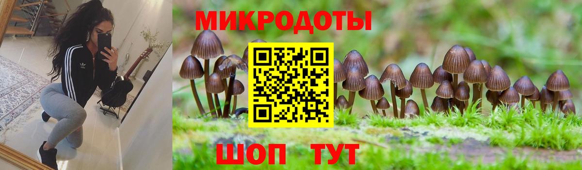 Димитровград  Псилоцибиновые грибы Magic Shrooms  как найти закладки  Вход с VPN 